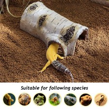 Casa Per Tartarughe Per