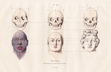 Frenologia Cranio Scheletro Testa Umani Acciaio Inciso Guerin-Meneville 1838