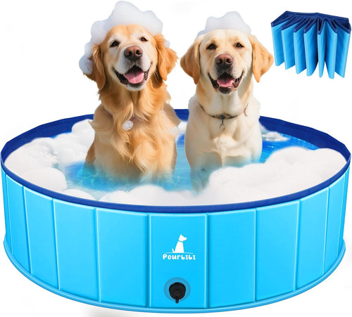 Piscina per cani - piscina,