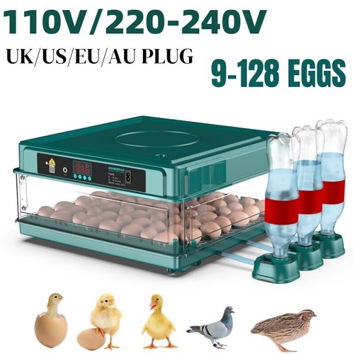 Incubatrice automatica uova