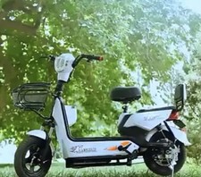 500 Watt Electric Scooter /