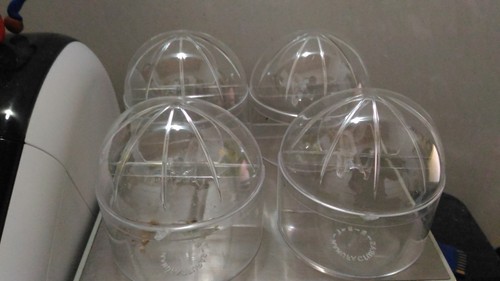 Feeder per uccelli canarini - per,