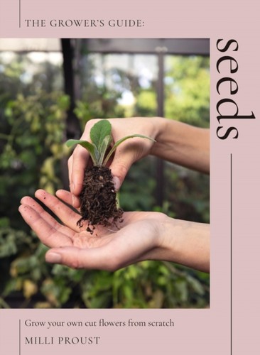 Seeds proust milli - seeds, by
