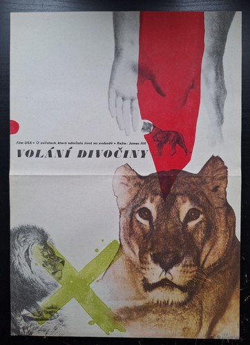 Born free volani - free,, divociny