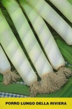 1000 SEMI SELEZIONATI DI