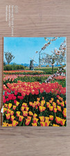 Cartolina Olanda in