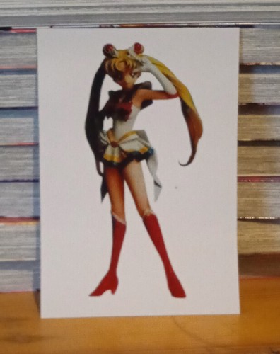 Sailor moon garage - kit,