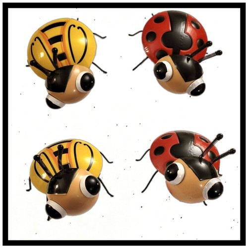 Vibratore scarabeo decorazione - vibratore,
