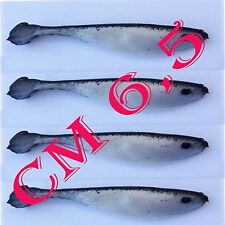 4 esche artificiali shad in