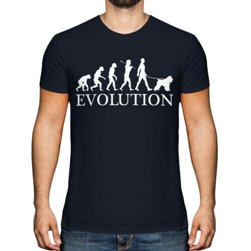 Bovaro delle fiandre - fiandre, evolution