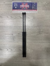 904508213R Coppia Pistoni