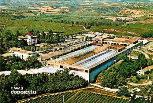 Sant sadurni anoia cavas - d,