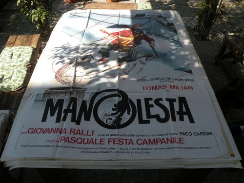 Gigantografia manolesta - gigantografia,