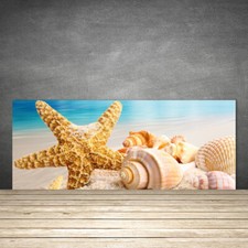 Paraschizzi da Cucina 125x50