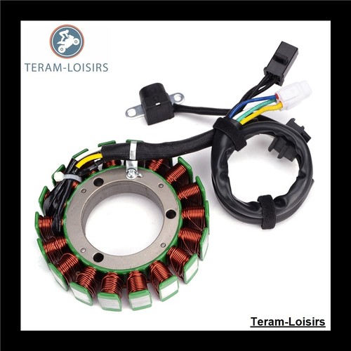 Stator alternateur pour arctic - alternateur,