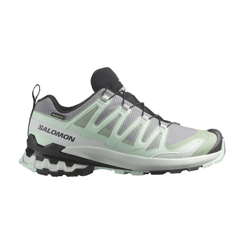 Salomon pro gtx - salomon, 3d