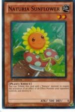 CARTA YU-GI OH - NATURIA