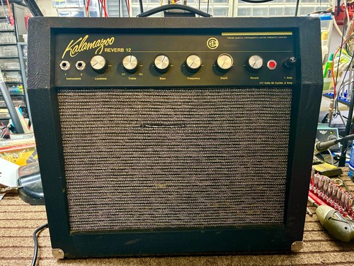 Kalamazoo reverb anni 60 - 12, '60