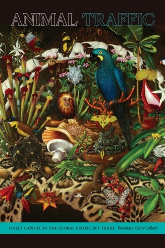 Animal traffic - animal,