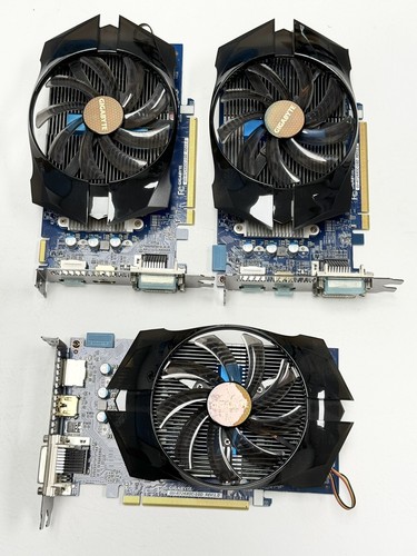 Non testato gigabyte - *non, testato*