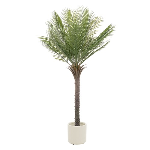 Pianta artificiale vaso - pianta,