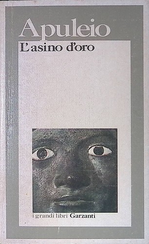 Asino oro - l'asino, d'oro