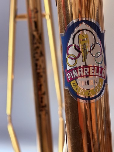 Pinarello treviso gold bike - treviso,