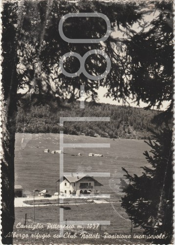 Cansiglio pittoresco 1057 - m.,