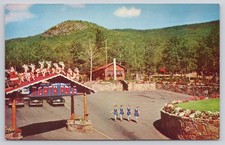 Cartolina polo nord - cartolina, new