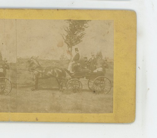 Carrozza trainata cavalli - da,
