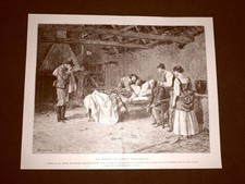 Incisione del 1892 anita - del,