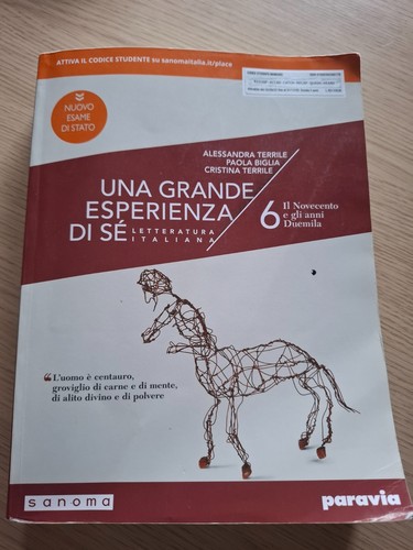 Una grande esperienza sé - grande, di