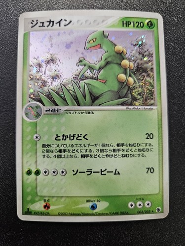 Pokemon giapponese edizione - giapponese, 1a