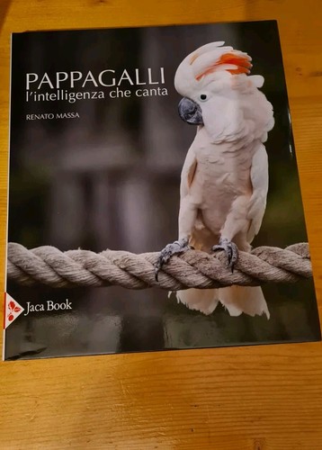 Pappagalli intelligenza - pappagalli,, l’intelligenza