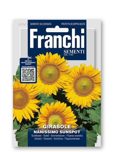 Semi girasole nanissimo - di,
