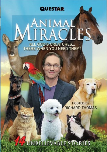 Animal miracles dvd - animal,