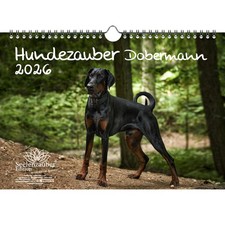 Magia per cani Dobermann DIN