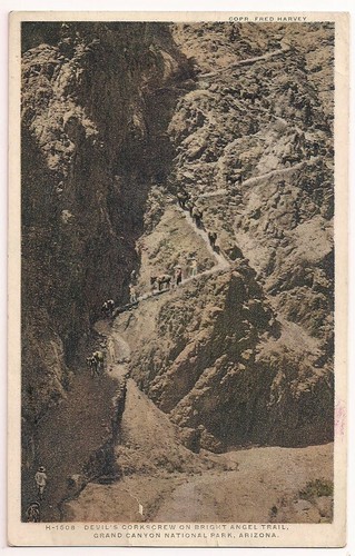 Cartolina grand canyon fred - grand, az