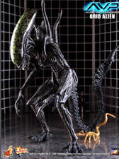 ULTRA RARE Sideshow GRID ALIEN AvP Hot Toys MMS28 NEW SEALED