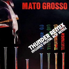Mato Grosso Thunder Vinyl