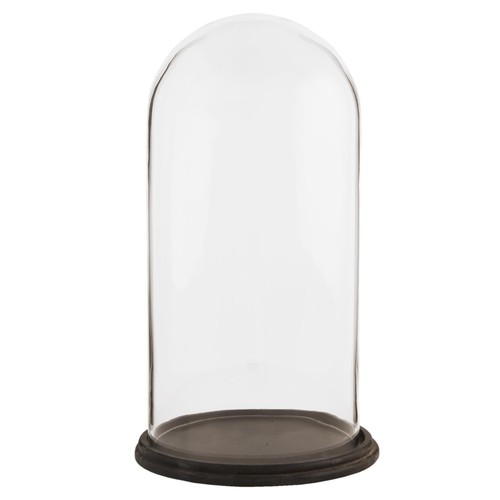 Espositore vetro cloche - espositore,