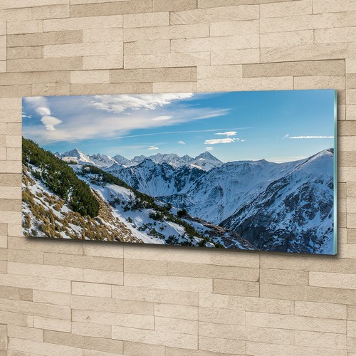 Tulup acrylic glass print wall - glass,
