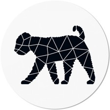 Lagotto Romagnolo, stile