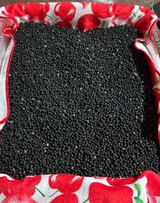 Semi Di Asparagi Selvatici