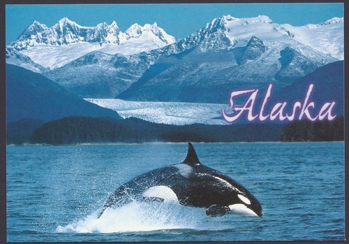 Stati uniti usa - uniti, alaska,