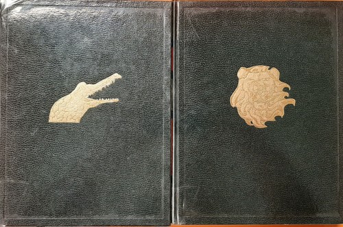 Enciclopedia del regno - enciclopedia, animale