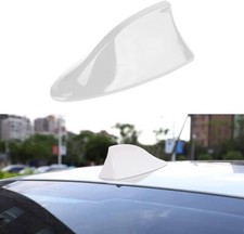 PINNA BIANCO SHARK SQUALO
