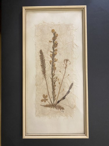 Quadro fiori secchi - quadro,