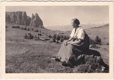 MOTIVO SULL'ALPE DI SIUSI -