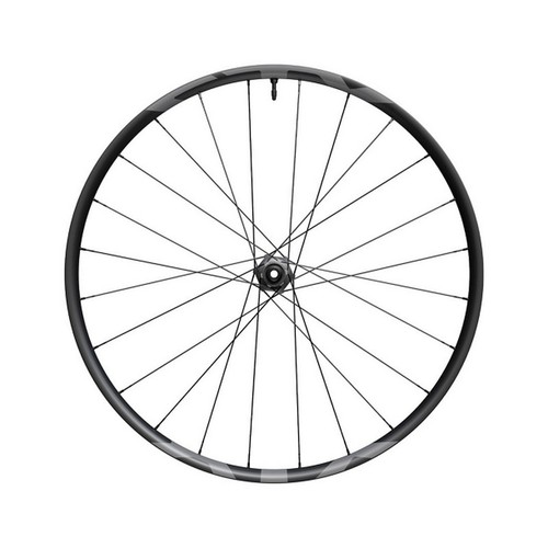 Ruota posteriore mtb xtr - ruota,
